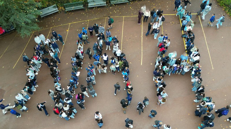 La mobilisation collective à l’échelle de la cour